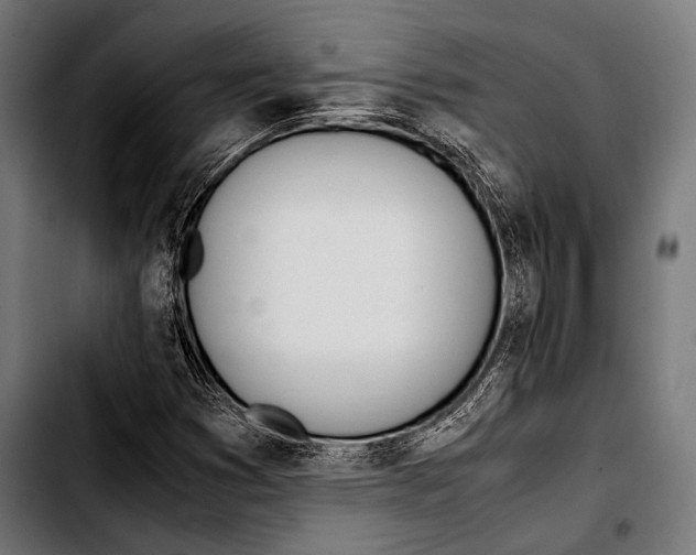 X0000103331353200810171414