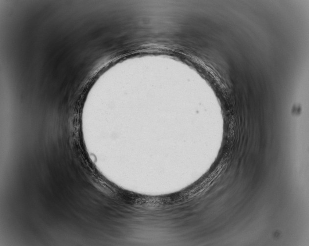 X0000103331355200810171414