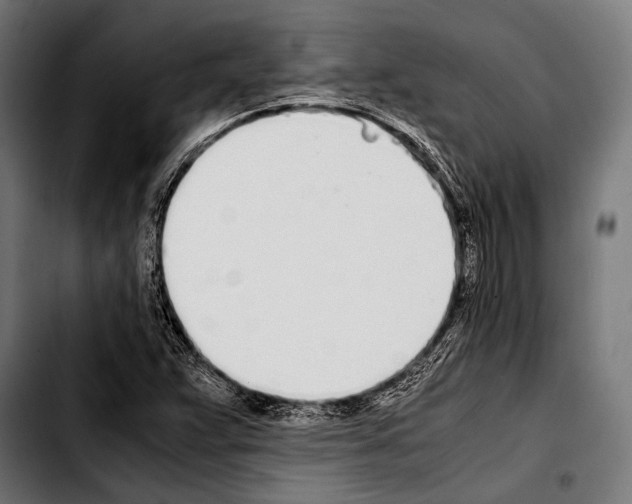 X0000103331359200810171414