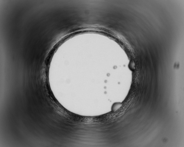 X0000103331360200810171414