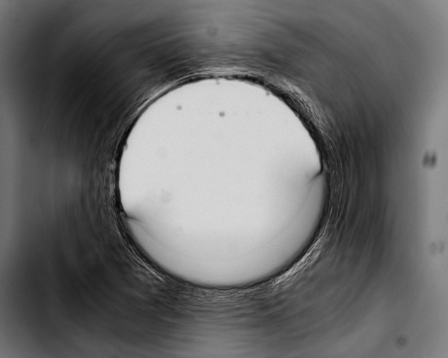 X0000103331361200810171414