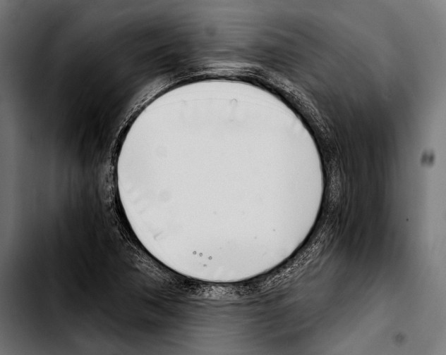 X0000103331362200810171414