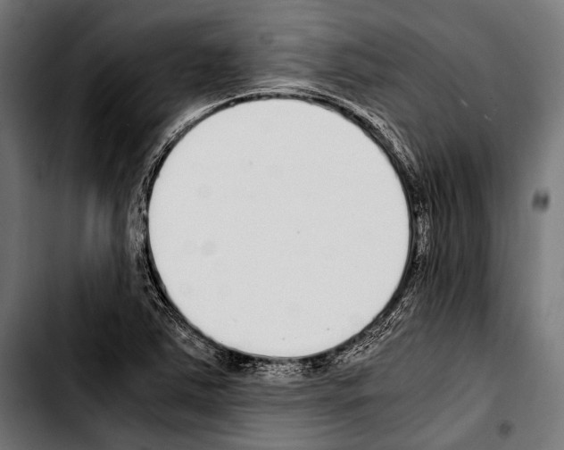 X0000103331363200810171414