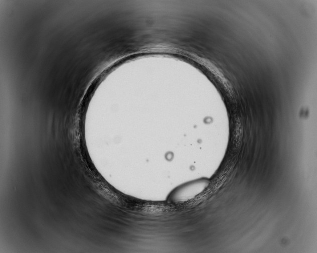 X0000103331364200810171414