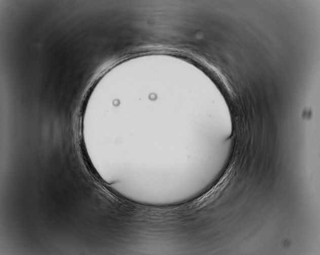 X0000103331365200810171414