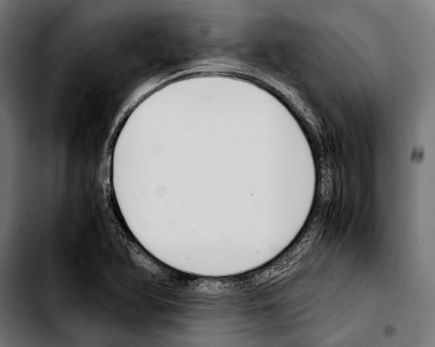 X0000103331366200810171414