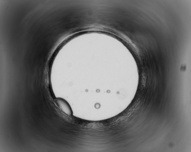 X0000103331368200810171414