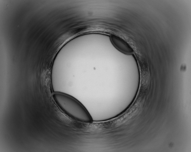 X0000103331369200810171414