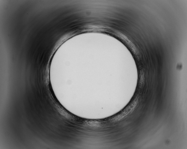 X0000103331370200810171414