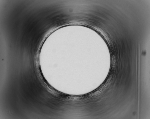 X0000103331371200810171414