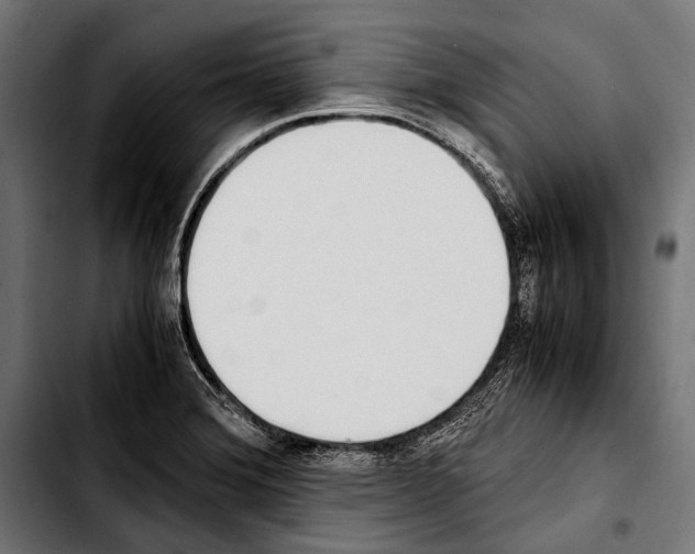 X0000103331372200810171414