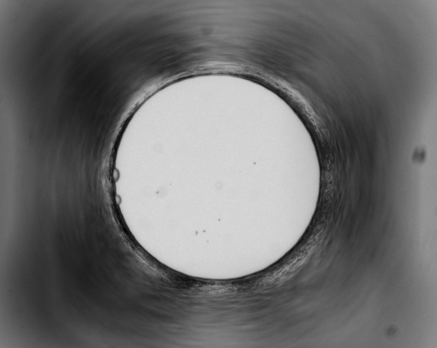 X0000103331373200810171414