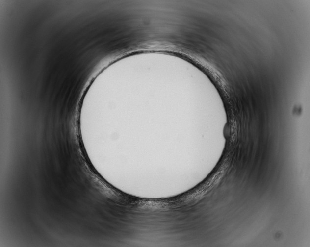 X0000103331374200810171414