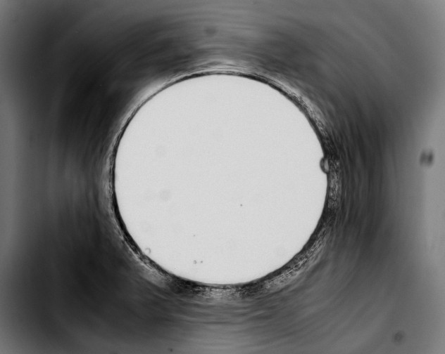 X0000103331375200810171414