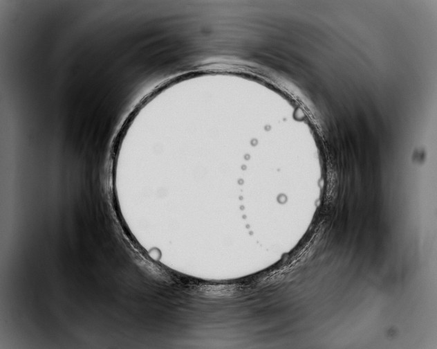 X0000103331376200810171414