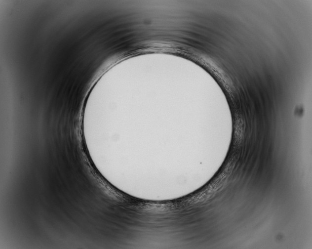 X0000103331378200810171414