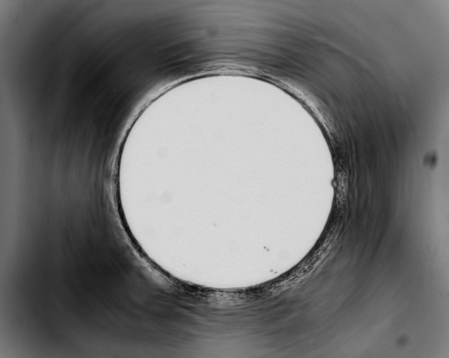 X0000103331379200810171414