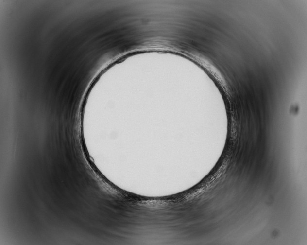 X0000103331380200810171414