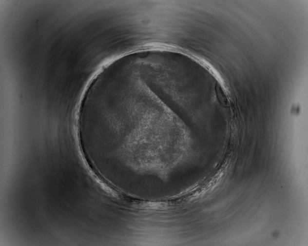 X0000103331381200810171414