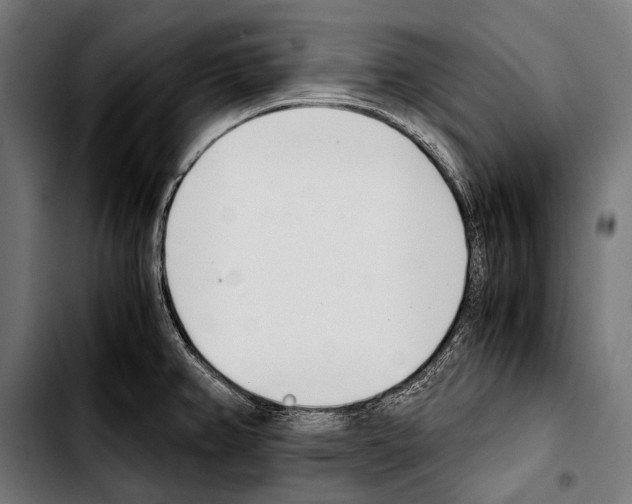 X0000103331382200810171414