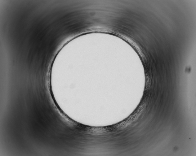 X0000103331383200810171414