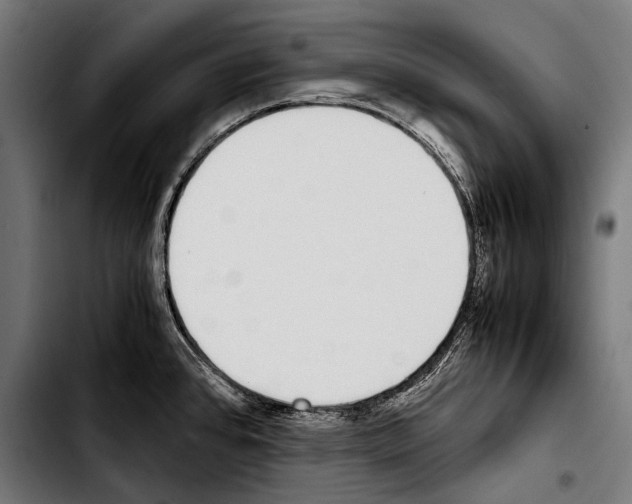 X0000103331384200810171414