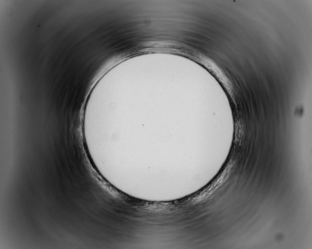 X0000103331386200810171414