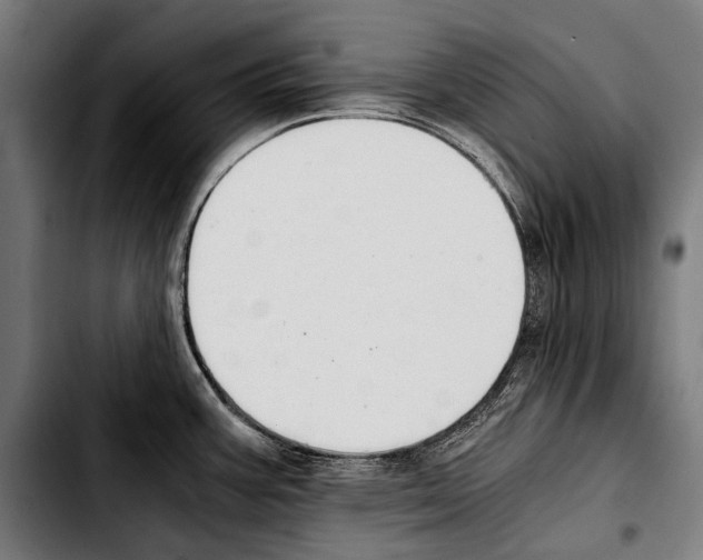 X0000103331387200810171414