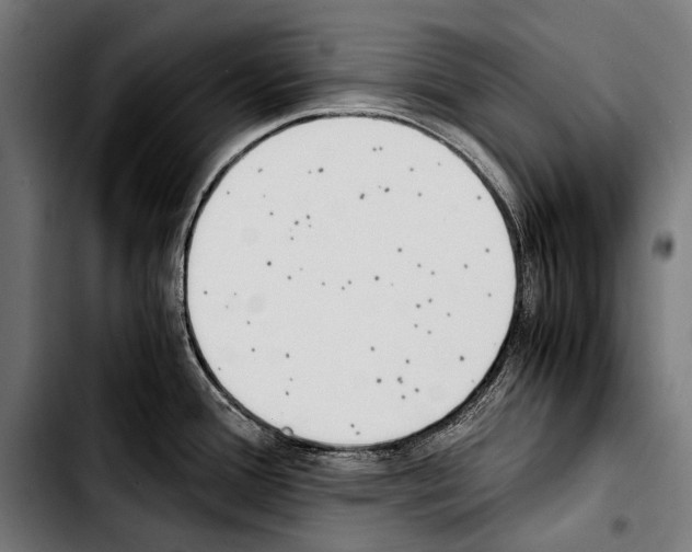 X0000103331388200810171414