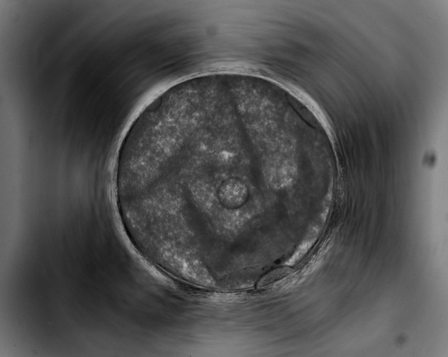 X0000103331389200810171414