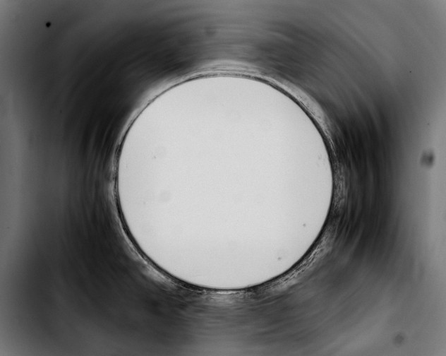 X0000103331390200810171414