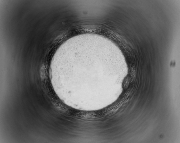 X0000103331394200810171413