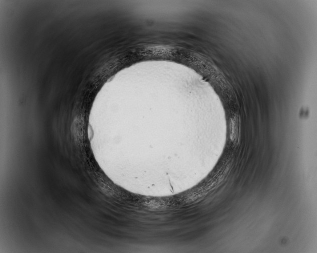 X0000103331395200810171413