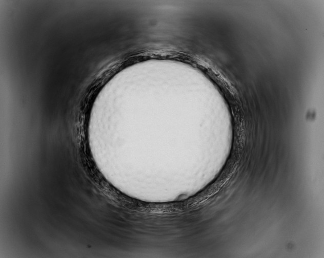 X0000103331399200810171413