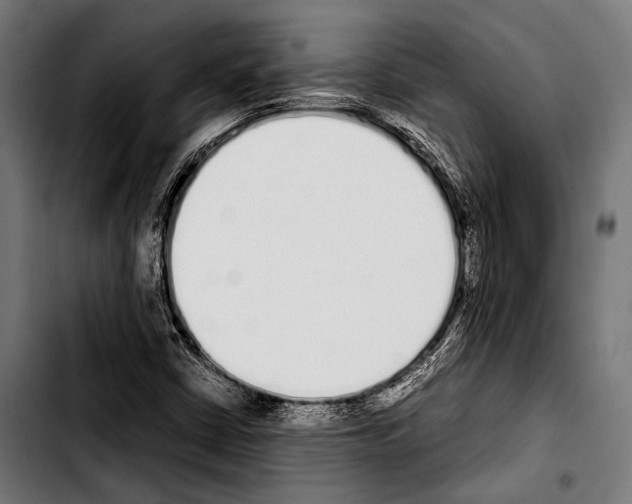 X0000103331402200810171413