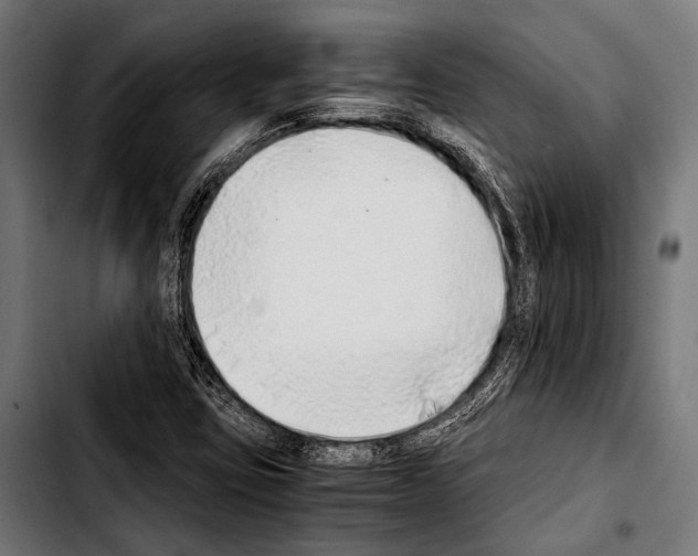 X0000103331403200810171413