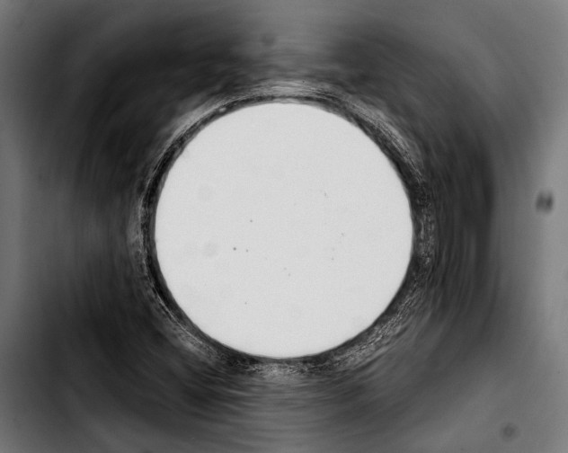 X0000103331404200810171413