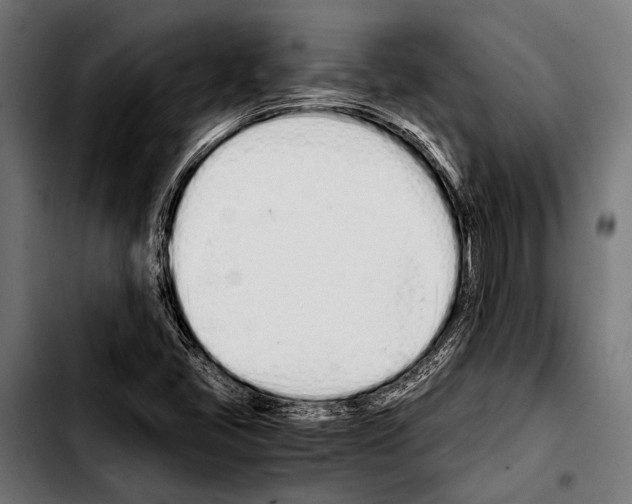 X0000103331405200810171413