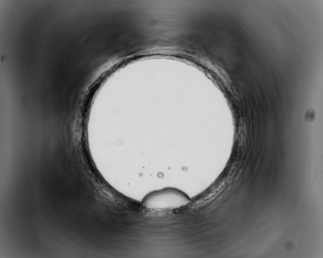 X0000103331406200810171413