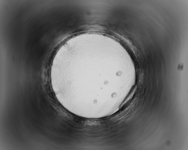 X0000103331407200810171413