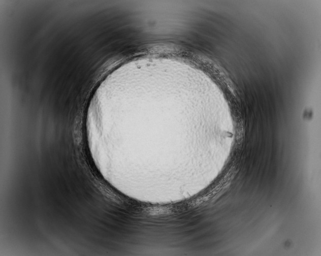 X0000103331409200810171413