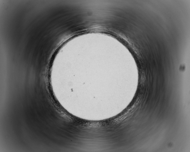 X0000103331410200810171413