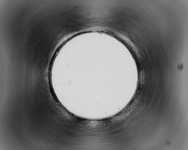 X0000103331412200810171413