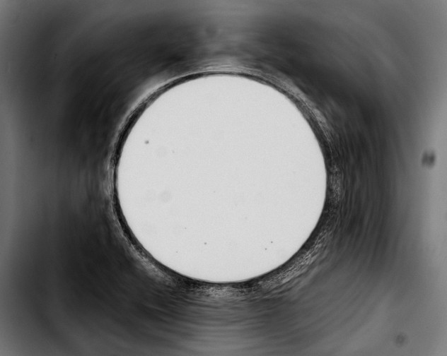 X0000103331416200810171414