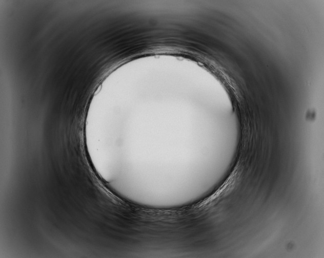 X0000103331417200810171414