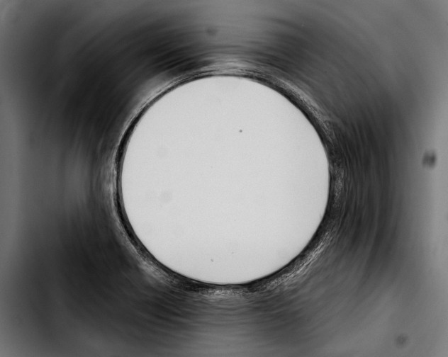 X0000103331418200810171414