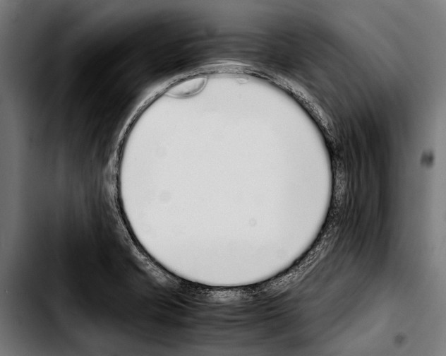 X0000103331421200810171414