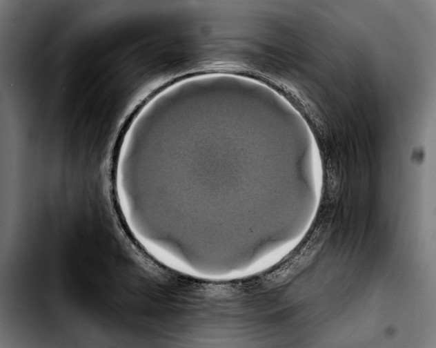 X0000103331422200810171414