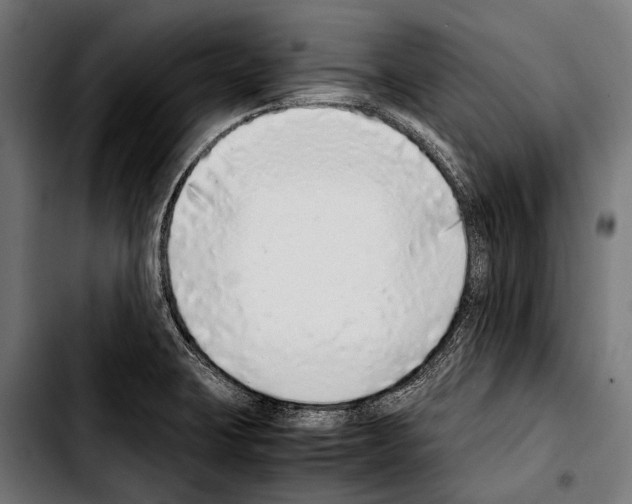 X0000103331423200810171414