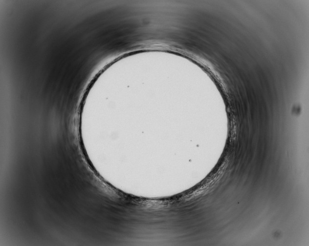 X0000103331424200810171414